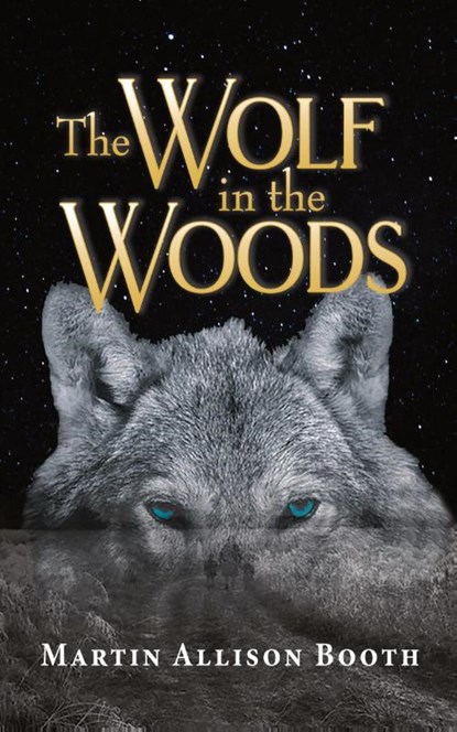 The Wolf In the Woods, Martin Allison Booth - Paperback - 9781789634617