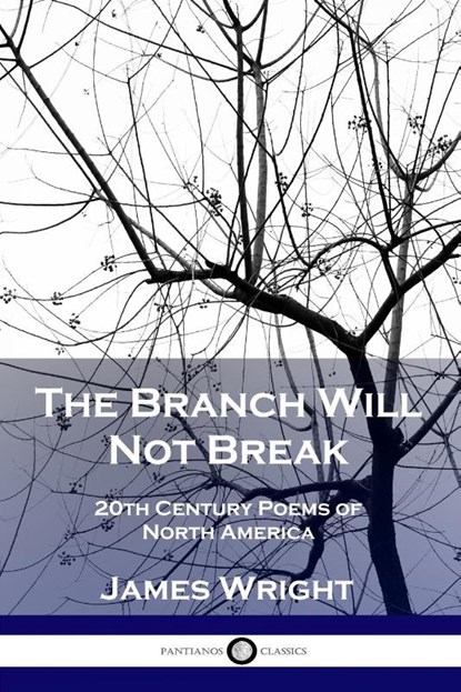 The Branch Will Not Break, James Wright - Paperback - 9781789870541