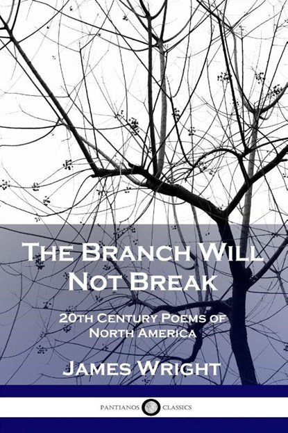 The Branch Will Not Break, James Wright - Paperback - 9781789870541