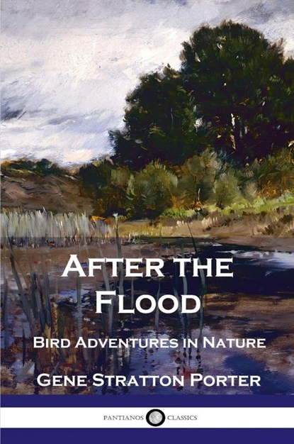 After the Flood, Gene Stratton Porter - Paperback - 9781789873306