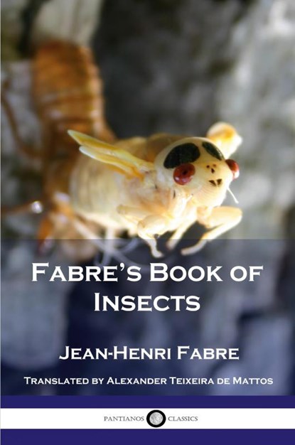 Fabre's Book of Insects, Jean Henri Fabre - Paperback - 9781789873405
