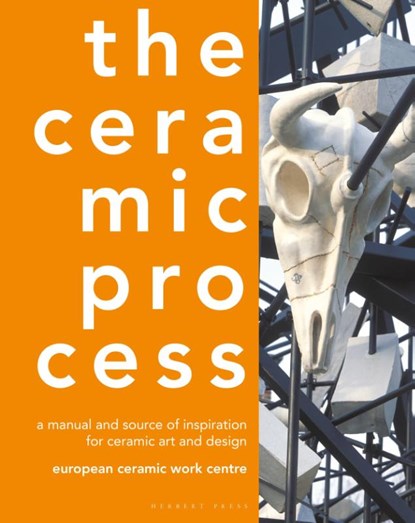 The Ceramic Process, European Ceramic Work Centre ; Anton Reijnders - Gebonden - 9781789940480