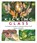 Kicking Glass, Neile Cooper - Paperback - 9781789940497