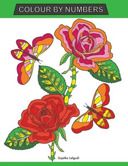 Colour by Numbers: Large Print Colour By Number Butterflies, Birds, and Flowers Adult Colouring Book, Sujatha Lalgudi - Paperback - 9781790383313