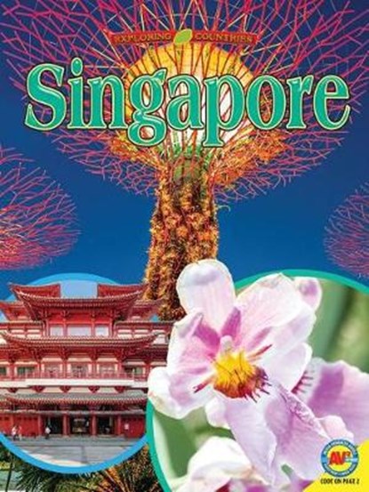 Singapore, PERRITANO,  John - Paperback - 9781791108953