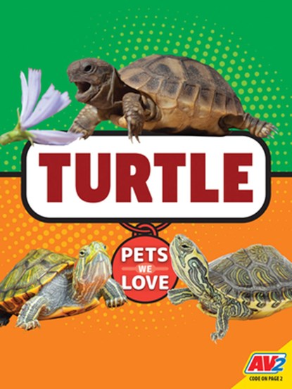Turtle, HAMILTON,  Lynn - Gebonden - 9781791119287