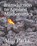 Introduction to Applied Mathematics, Alan Parks - Paperback - 9781791756550