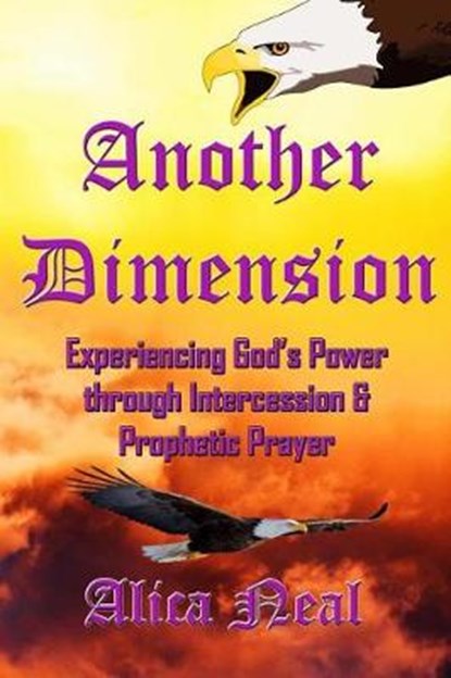 Another Dimension: Experiencing God's Power Through Intercession and Prophetic Prayer, Alica M. T. Neal - Paperback - 9781793066008