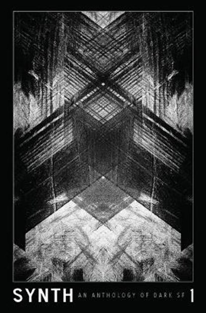 Synth #1, Dan Stintzi ; Steve Toase ; Virginie Selavy - Paperback - 9781796363609