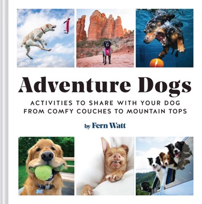 Adventure Dogs, Lauren Watt - Gebonden - 9781797207834