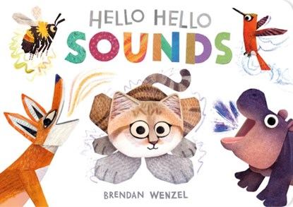 Hello Hello Sounds, niet bekend - Gebonden - 9781797219998