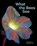 What the Bees See, Craig P. Burrows - Gebonden - 9781797230184