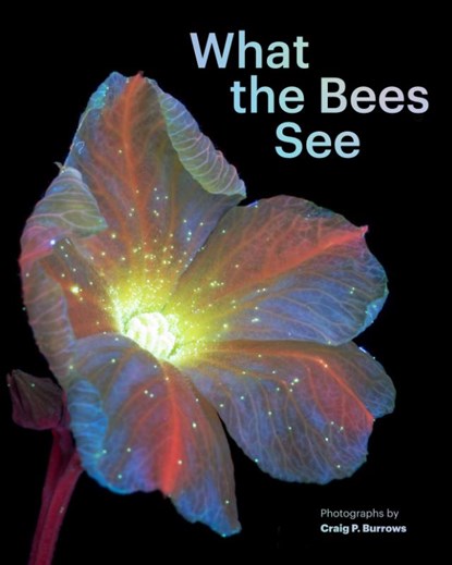 What the Bees See, Craig P. Burrows - Gebonden - 9781797230184