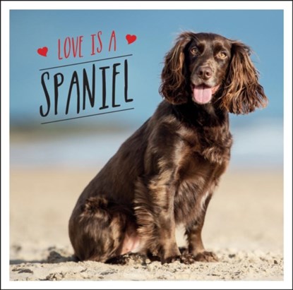 Love is a Spaniel, Charlie Ellis - Gebonden - 9781800071902