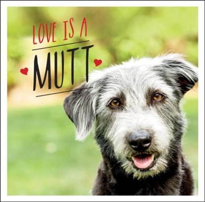 Love is a Mutt, Charlie Ellis - Gebonden - 9781800071919