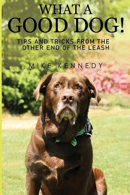 What a Good Dog! Tips and Tricks from the Other End of the Leash., Mike Kennedy - Paperback - 9781800169548