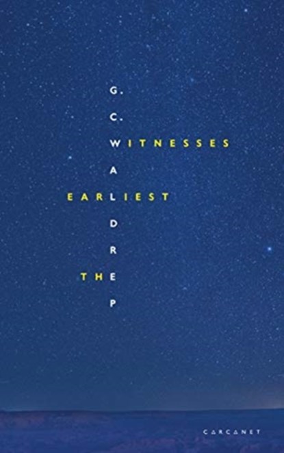 The Earliest Witnesses, G.C. Waldrep - Paperback - 9781800170360