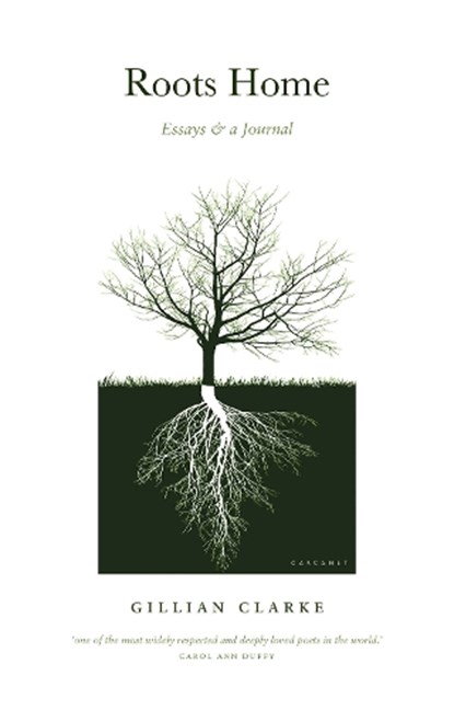 Roots Home, Gillian Clarke - Paperback - 9781800170780