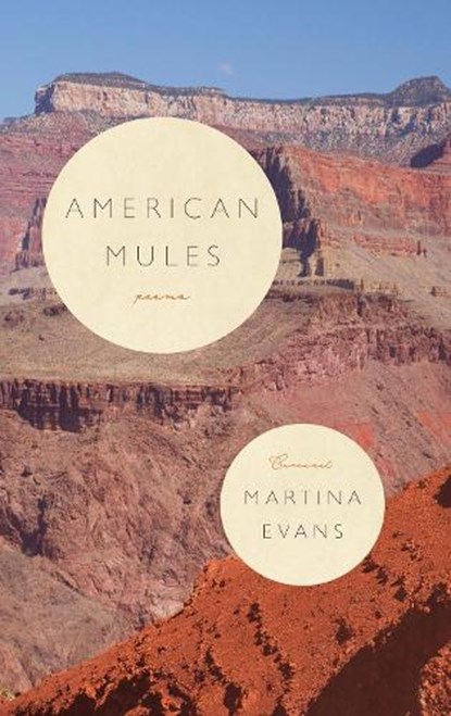 American Mules, Martina Evans - Paperback - 9781800170896
