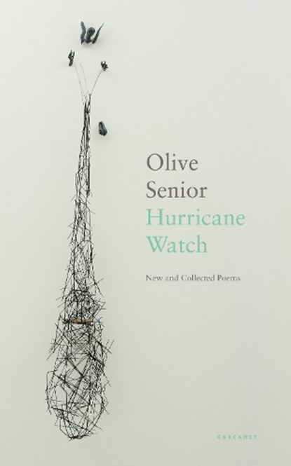 Hurricane Watch, Olive Senior - Paperback - 9781800172166
