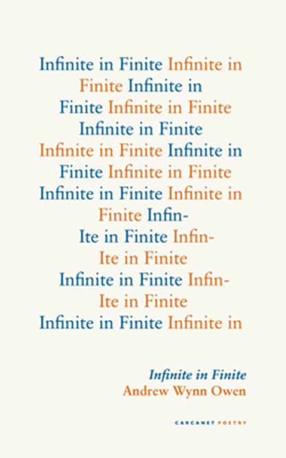 Infinite in Finite, Andrew Wynn Owen - Paperback - 9781800173477