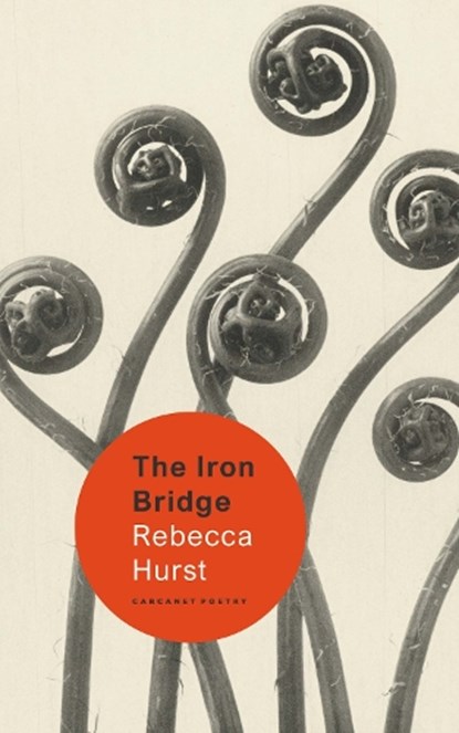 The Iron Bridge, Rebecca Hurst - Paperback - 9781800173941