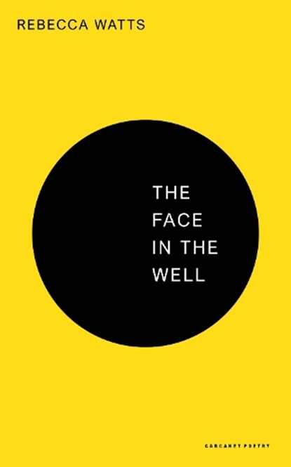 The Face in the Well, Rebecca Watts - Paperback - 9781800174580