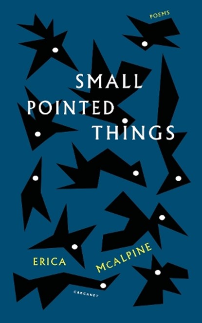 Small Pointed Things, Erica McAlpine - Paperback - 9781800174771