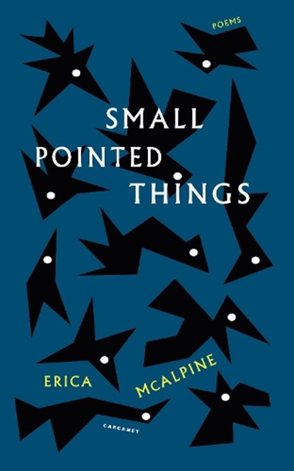 Small Pointed Things, Erica McAlpine - Paperback - 9781800174771