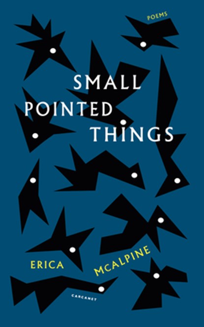 Small Pointed Things, Erica McAlpine - Paperback - 9781800174771