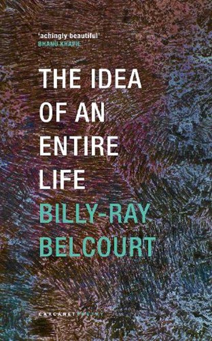 The Idea of an Entire Life, Billy-Ray Belcourt - Paperback - 9781800174917