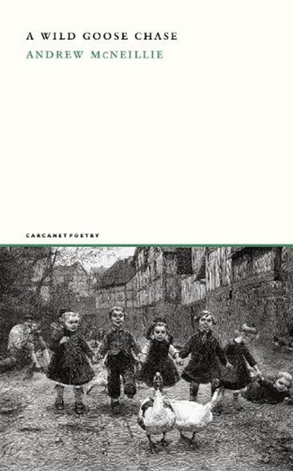 A Wild Goose Chase, Andrew McNeillie - Paperback - 9781800175099