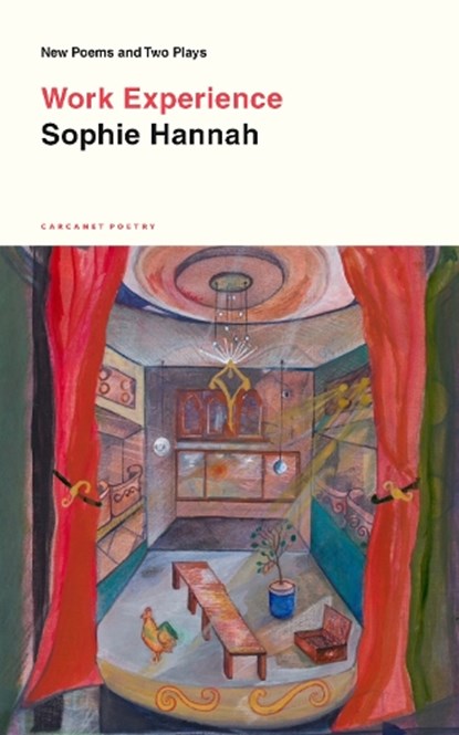 Work Experience, Sophie Hannah - Paperback - 9781800175556