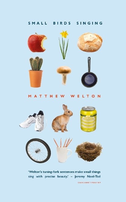 Small Birds Singing, Matthew Welton - Paperback - 9781800175594
