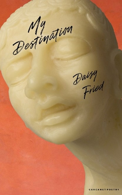 My Destination, Daisy Fried - Paperback - 9781800175785