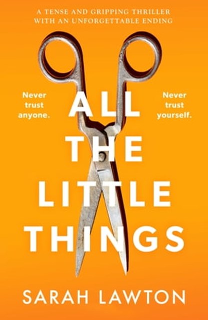 All The Little Things, Sarah Lawton - Ebook - 9781800321687