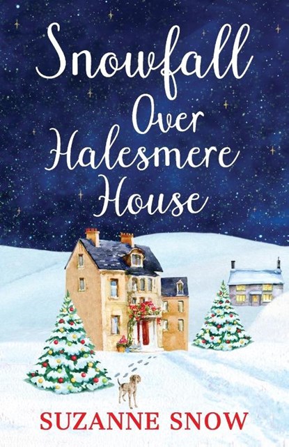 Snowfall Over Halesmere House, Suzanne Snow - Paperback - 9781800328747