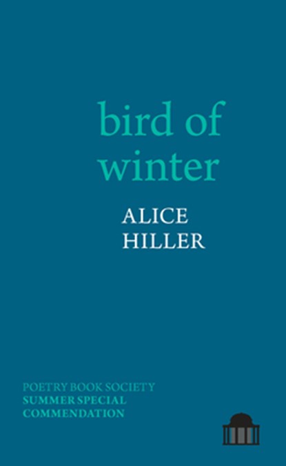 bird of winter, Alice Hiller - Paperback - 9781800348691