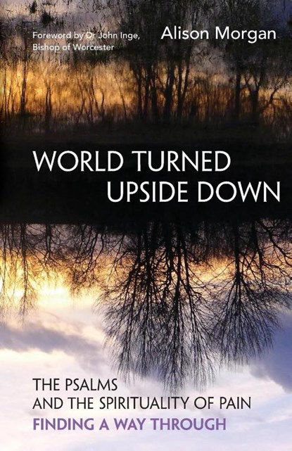 World Turned Upside Down, Alison Morgan - Paperback - 9781800391666