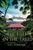 The Fish in the Tree, Gael Harrison - Paperback - 9781800423015