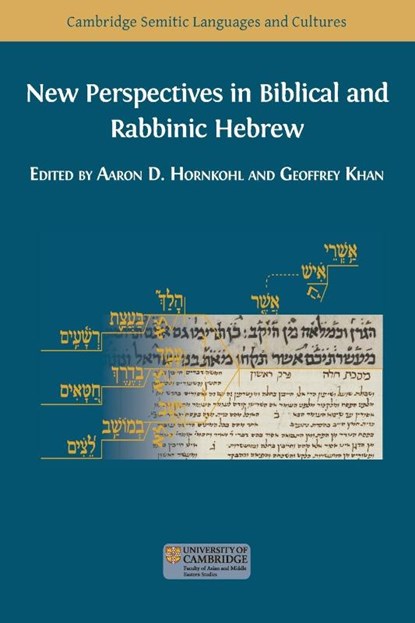 New Perspectives in Biblical and Rabbinic Hebrew, Aaron D Hornkohl ; Geoffrey Khan - Paperback - 9781800641648