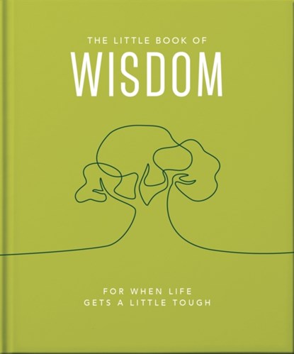 The Little Book of Wisdom, Orange Hippo! - Gebonden - 9781800693586