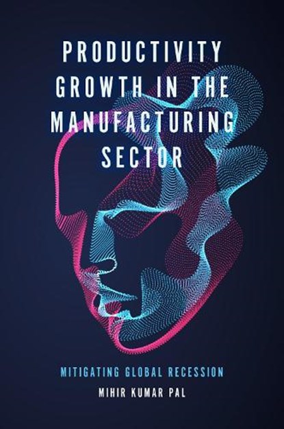 Productivity Growth in the Manufacturing Sector, PAL,  Mihir Kumar (Vidyasagar University, India) - Gebonden - 9781800710955
