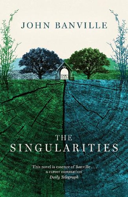 The Singularities, John Banville - Paperback - 9781800753365