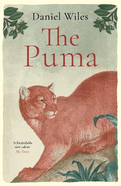 The Puma, Daniel Wiles - Gebonden - 9781800753686