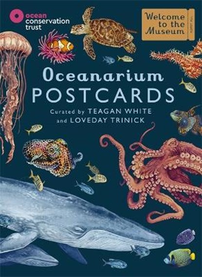 Oceanarium postcards, niet bekend - Gebonden Paperback - 9781800783591