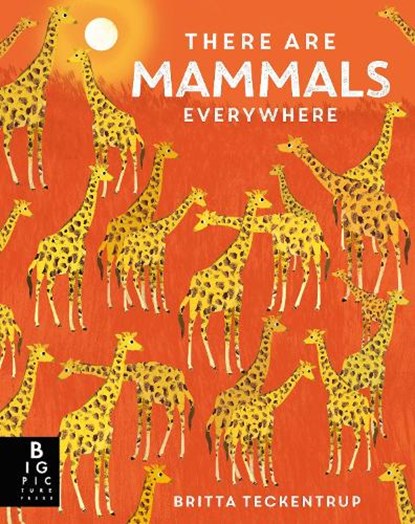 There are Mammals Everywhere, Camilla De La Bedoyere - Paperback - 9781800787346