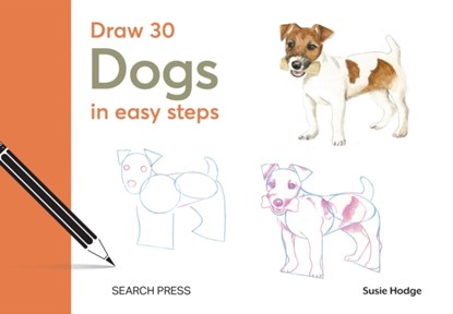 Draw 30: Dogs, Susie Hodge - Gebonden - 9781800921849
