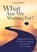 What are We Waiting for, Donall Bishop Murray - Paperback - 9781800970199
