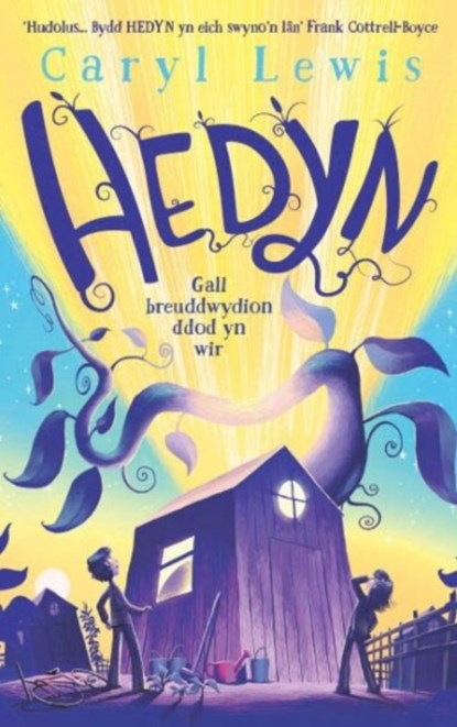 Hedyn, Caryl Lewis - Paperback - 9781800992184